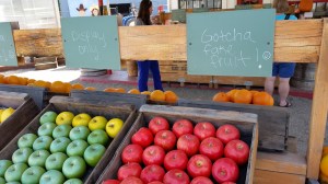 These fake fruits are placed out front to encourage drivers to stop. The real fruit is on the other side. Notice the sign.
