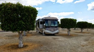 We used to live on Orange Grove Road, now we are staying in an actual orange grove!