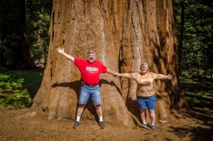 The width of the Giant Sequoia trees is incredible!