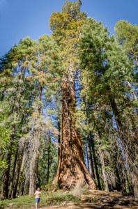 Charlene is the little person on the lower left of the photo.
