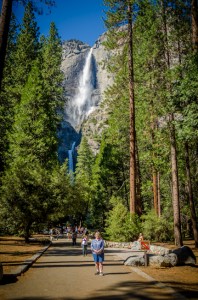 Charlene stands before Yosemite Falls.