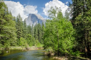 A beautiful view of Half Dome.