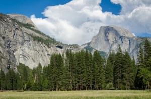 Half Dome across the meadow.