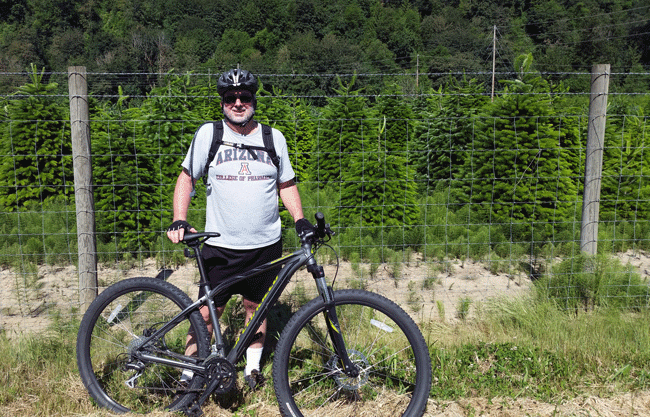 Ed loved seeing all the Christmas trees.