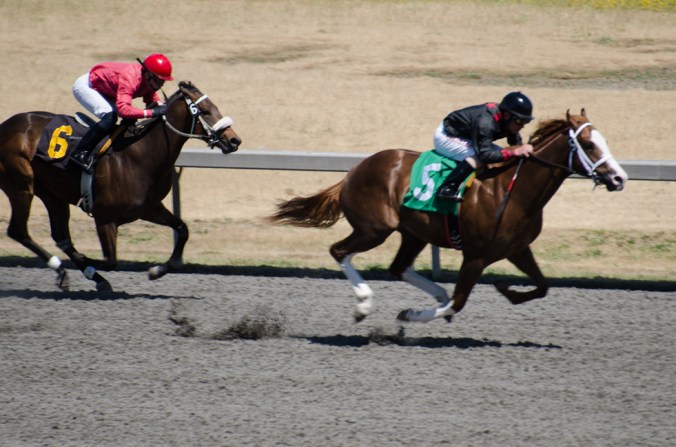 Emerald Downs-4