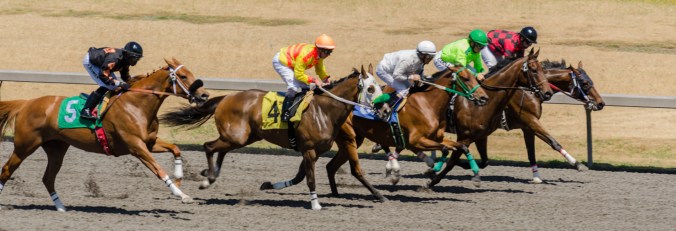 Emerald Downs-5