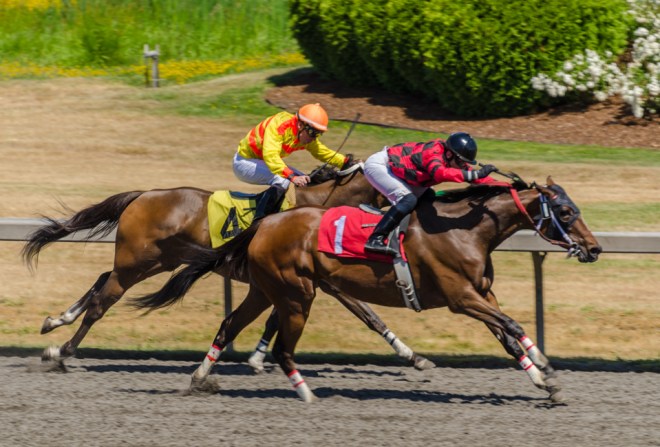 Emerald Downs-6