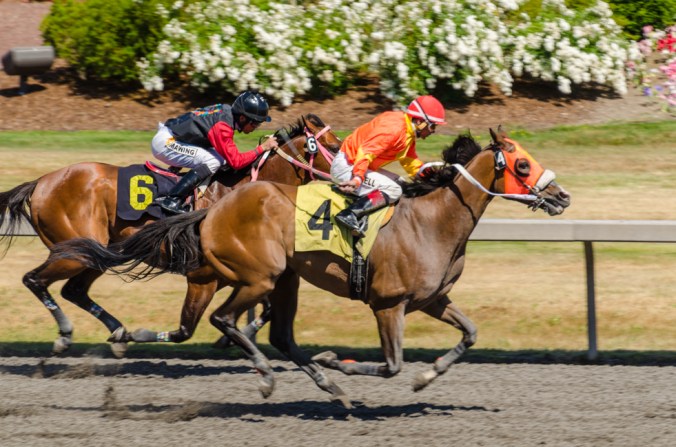 Emerald Downs-8