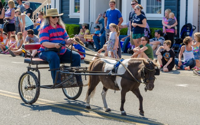All kinds of vehicles were in the parade.