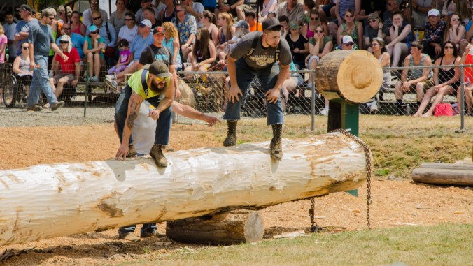 Ready, set, go! This was the start of one event when the flew off this log.