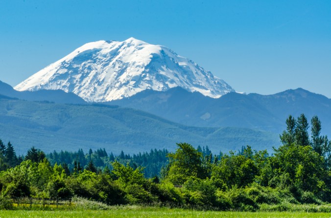 Mount Rainier in the sunshine!