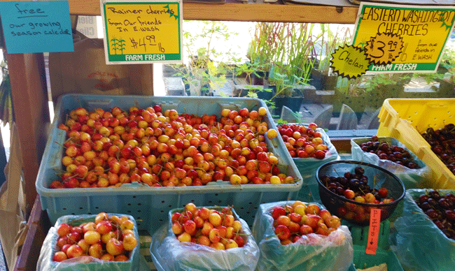 Rainier cherries are a favorite!