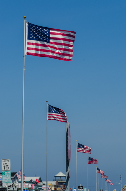 Yesterday was 4th of July and many flags were flying in the marina.