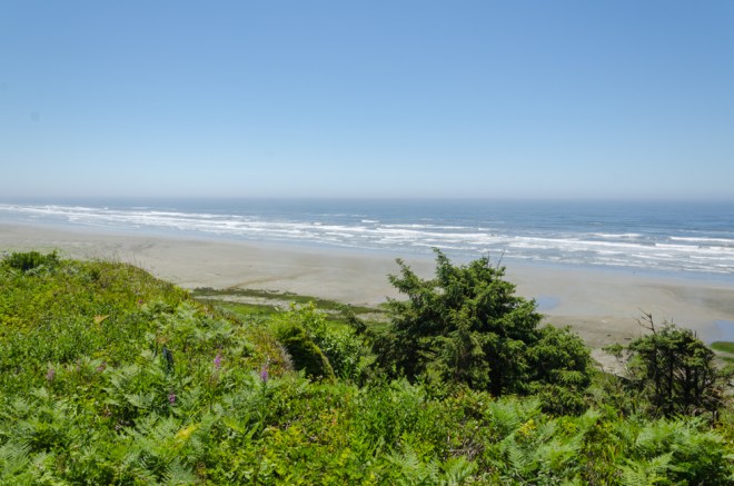 The green vegetation contrasted nicely with the blue water.