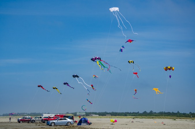 The colorful kites were awesome!