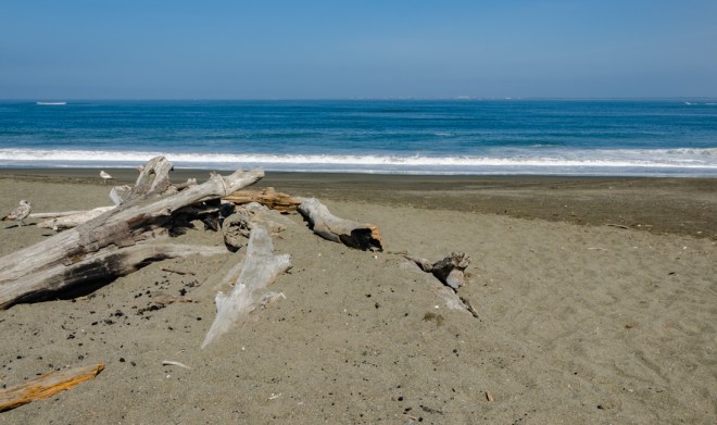 The beach was beautiful!