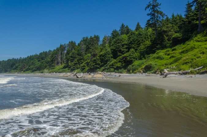 The beaches in the Olympic National Park are beautiful!