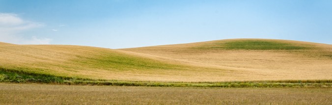 Palouse-8