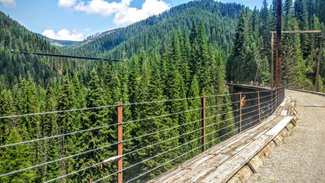 The high trestles are impressive in the midst of all the trees.