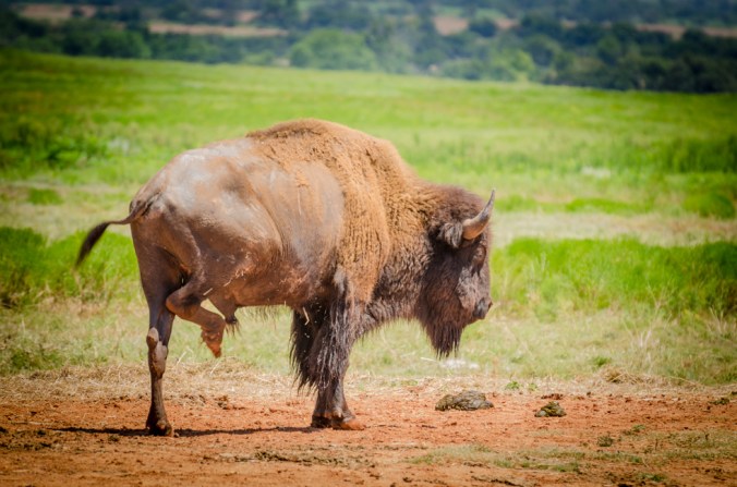 This guy was doing a jig!