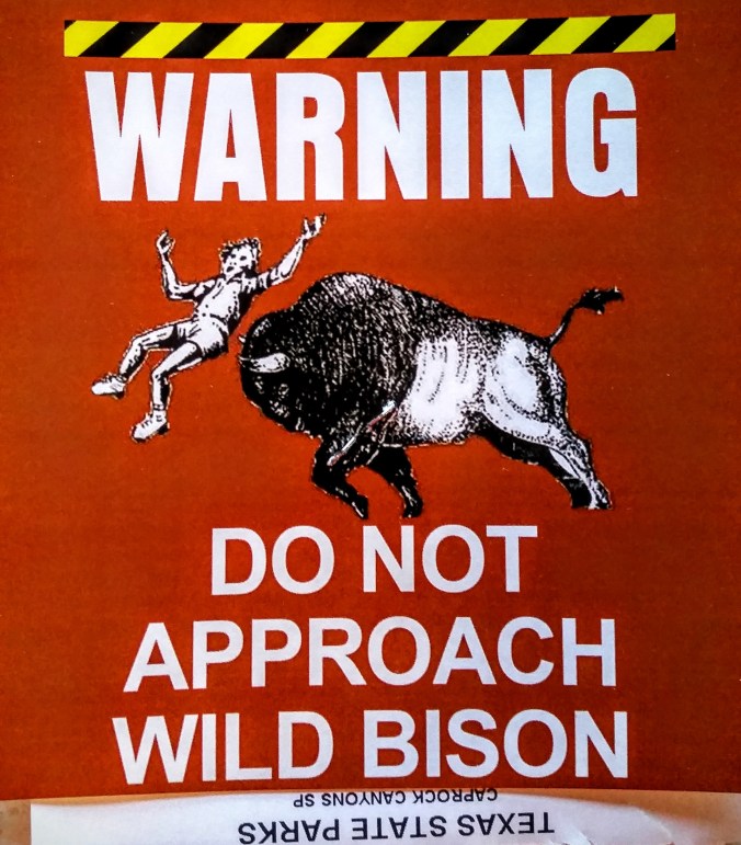 This was the back of the rear-view mirror entrance permit.