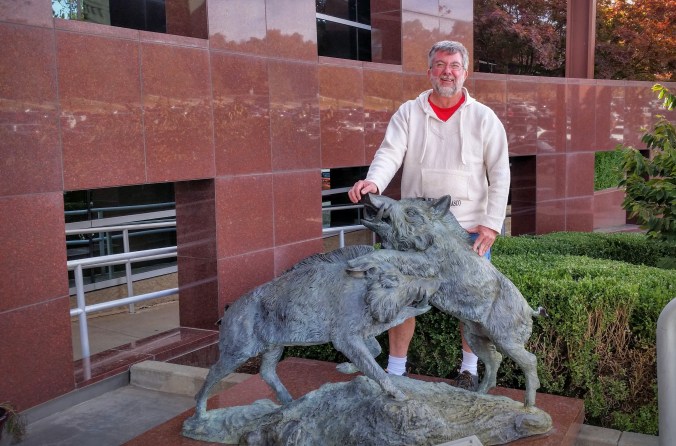 The razorback statue is in many, many photos!