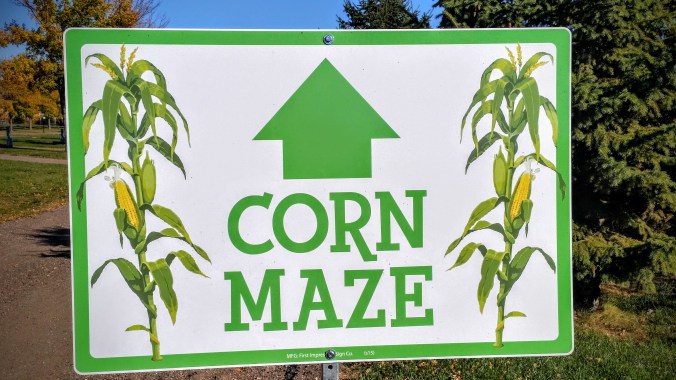 How cool.... a huge corn maze!