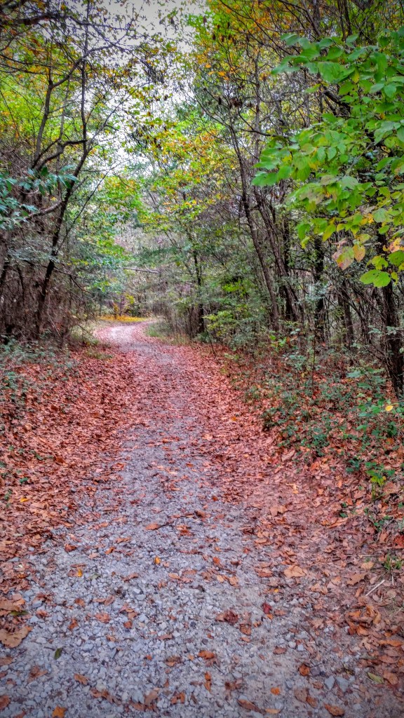 The path is from our campground down to a nearby lake.