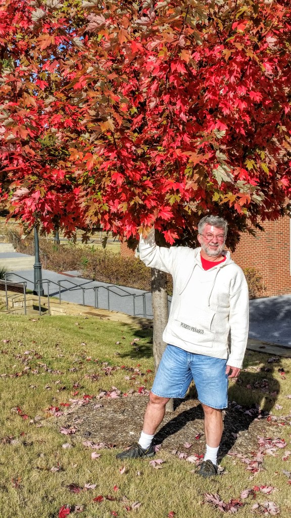 The leaves have changed colors all over campus.