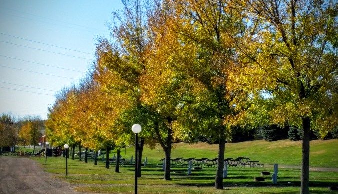This RV park is filled with beautiful fall colors!
