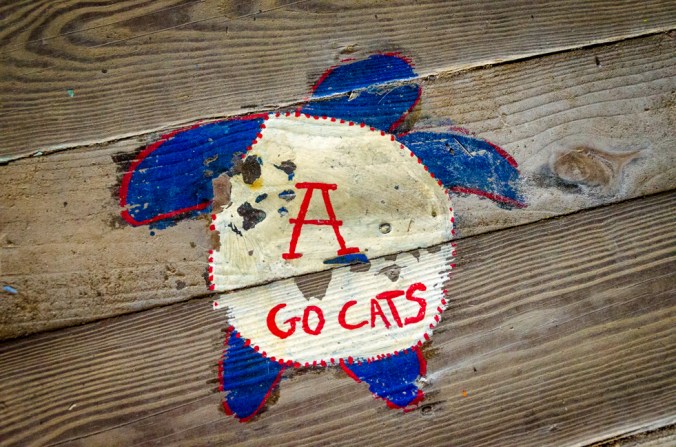 South Padre Island-3