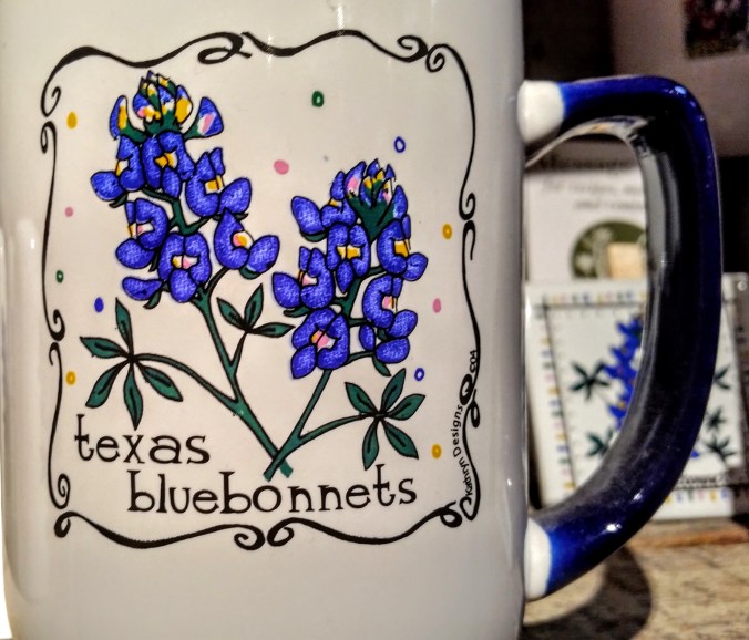 Texas bluebonnets