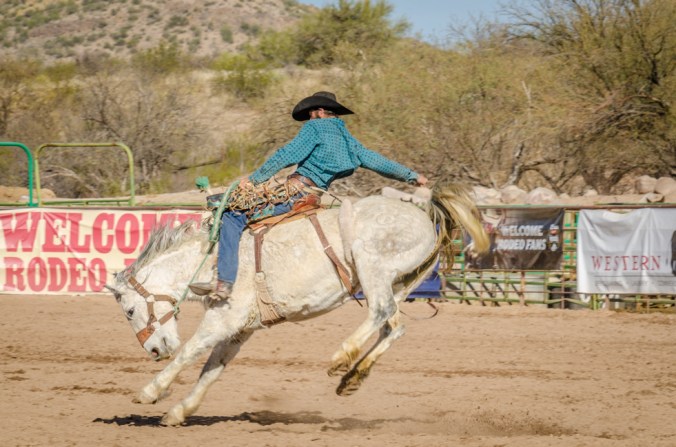 Rodeo-19