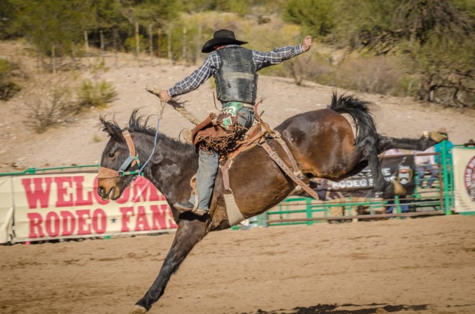 Rodeo-23