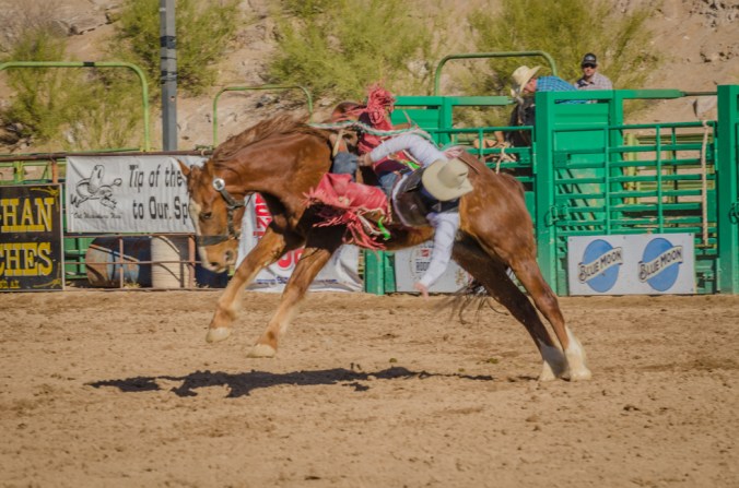 Rodeo-24