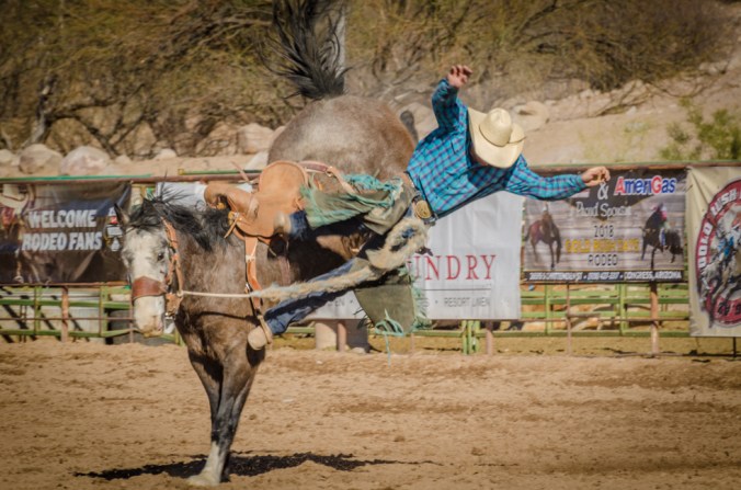 Rodeo-25