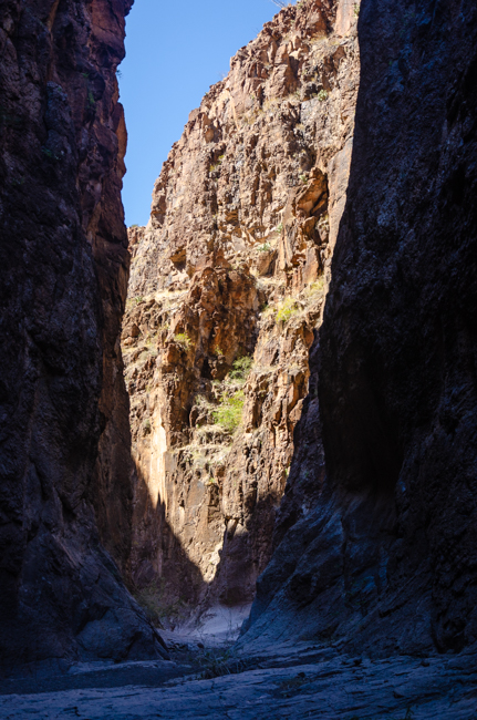 Big Bend Rnch State Park-1