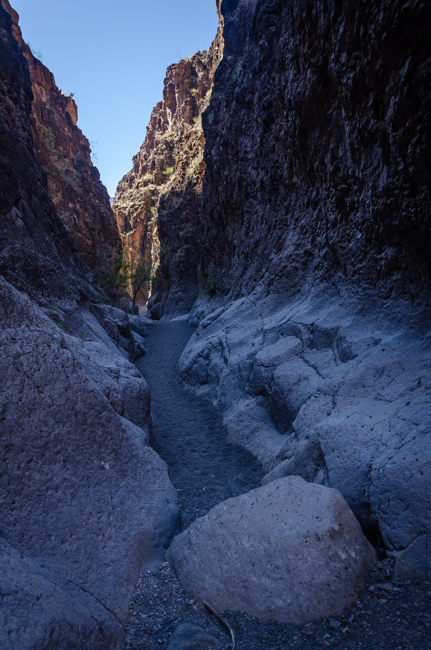 Big Bend Rnch State Park-2