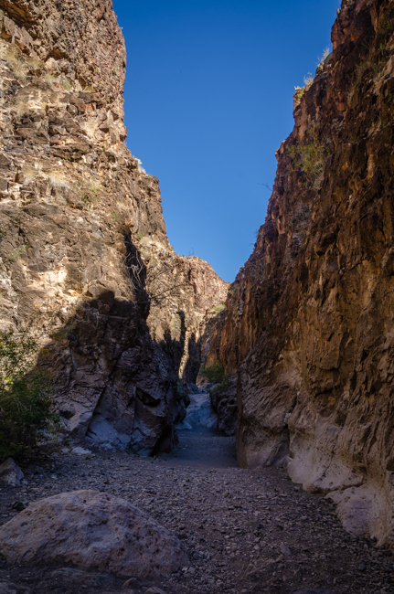 Big Bend Rnch State Park-3