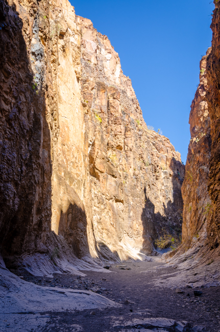 Big Bend Rnch State Park-5