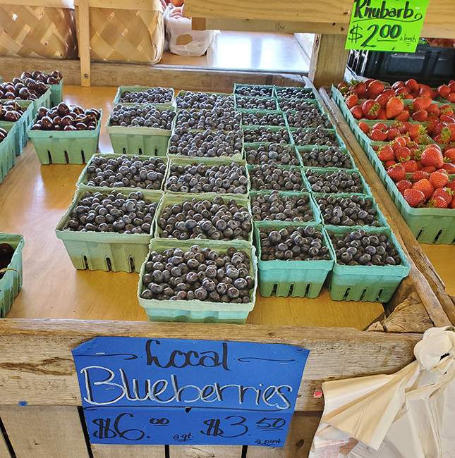 Blueberries local