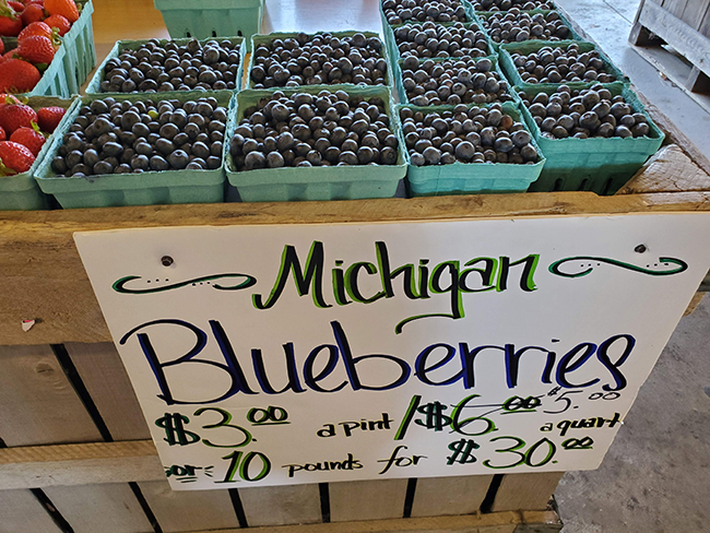 Blueberries Michigan